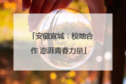 安徽宣城：校地合作 澎湃青春力量