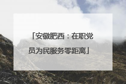安徽肥西：在职党员为民服务零距离