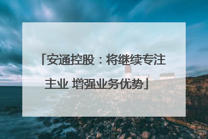 安通控股：将继续专注主业 增强业务优势