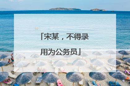 宋某，不得录用为公务员