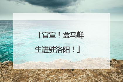官宣！盒马鲜生进驻洛阳！