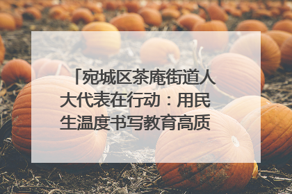宛城区茶庵街道人大代表在行动：用民生温度书写教育高质量发展答卷