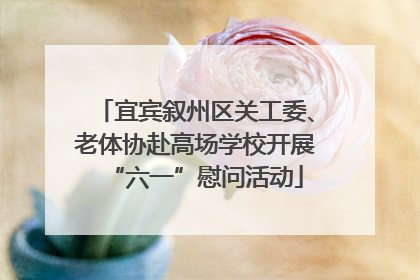 宜宾叙州区关工委、老体协赴高场学校开展“六一”慰问活动