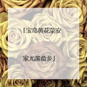 宝岛黄花菜安家尤溪畲乡