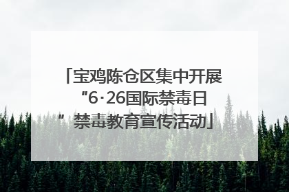 宝鸡陈仓区集中开展“6･26国际禁毒日”禁毒教育宣传活动