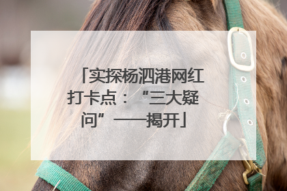 实探杨泗港网红打卡点：“三大疑问”一一揭开