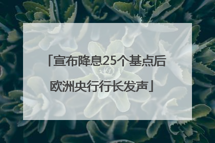 宣布降息25个基点后 欧洲央行行长发声