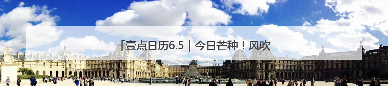 壹点日历6.5｜今日芒种！风吹麦成浪，蝉鸣夏始忙！大家早安