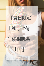 夏日限定上线，“荷”你相遇洪山！