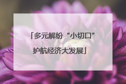 多元解纷“小切口” 护航经济大发展
