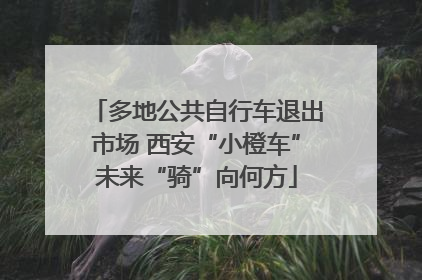 多地公共自行车退出市场 西安“小橙车”未来“骑”向何方