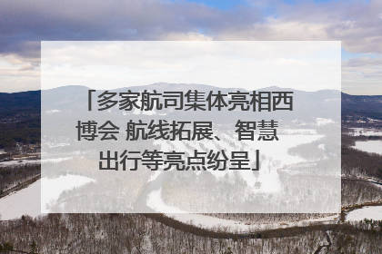 多家航司集体亮相西博会 航线拓展、智慧出行等亮点纷呈