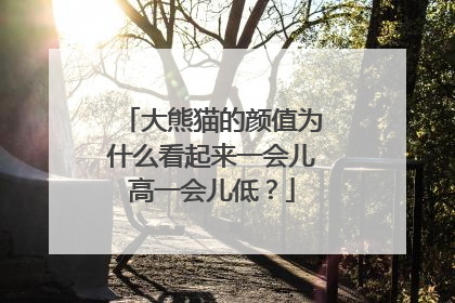 大熊猫的颜值为什么看起来一会儿高一会儿低？