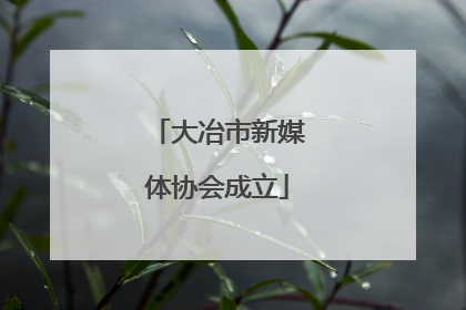 大冶市新媒体协会成立