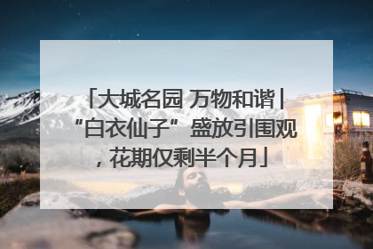 大城名园 万物和谐│“白衣仙子”盛放引围观，花期仅剩半个月