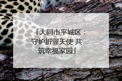 大同市平城区：守护折翼天使 共筑幸福家园