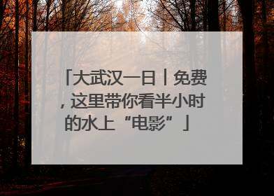 大武汉一日︱免费，这里带你看半小时的水上“电影”