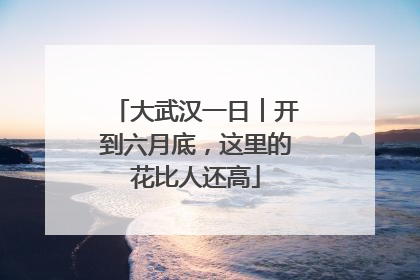 大武汉一日︱开到六月底，这里的花比人还高