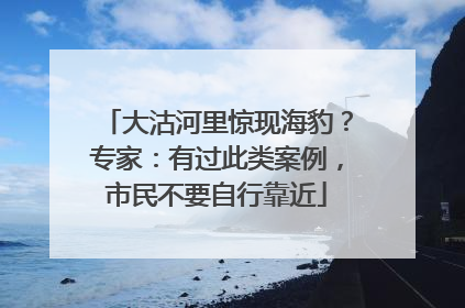 大沽河里惊现海豹？专家：有过此类案例，市民不要自行靠近