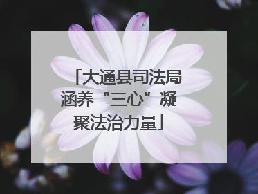 大通县司法局涵养“三心”凝聚法治力量