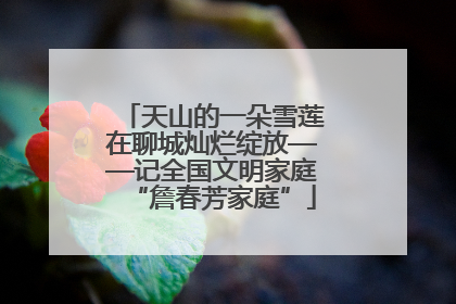 天山的一朵雪莲在聊城灿烂绽放——记全国文明家庭“詹春芳家庭”