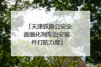 天津铁路公安全面强化列车治安案件打防力度