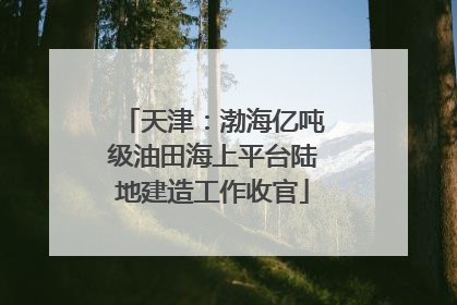 天津：渤海亿吨级油田海上平台陆地建造工作收官