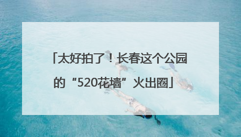 太好拍了！长春这个公园的“520花墙”火出圈