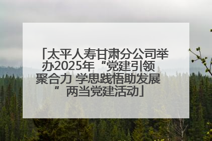 太平人寿甘肃分公司举办2025年“党建引领聚合力 学思践悟助发展”两当党建活动