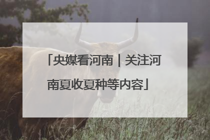 央媒看河南｜关注河南夏收夏种等内容