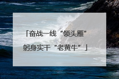 奋战一线“领头雁” 躬身实干“老黄牛”