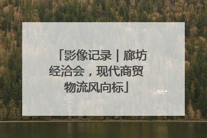 影像记录｜廊坊经洽会，现代商贸物流风向标