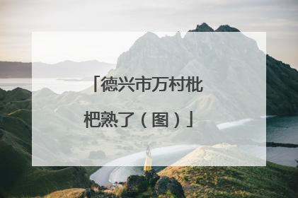 德兴市万村枇杷熟了（图）