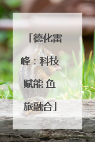 德化雷峰：科技赋能 鱼旅融合