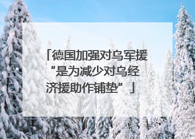 德国加强对乌军援 “是为减少对乌经济援助作铺垫”