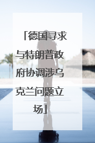 德国寻求与特朗普政府协调涉乌克兰问题立场