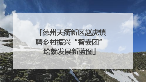 德州天衢新区赵虎镇聘乡村振兴“智囊团” 绘就发展新蓝图