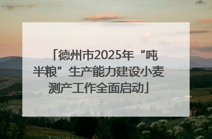 德州市2025年“吨半粮”生产能力建设小麦测产工作全面启动