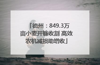 德州：849.3万亩小麦开镰收割 高效农机减损助增收