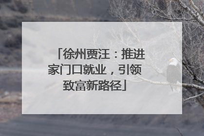 徐州贾汪：推进家门口就业，引领致富新路径