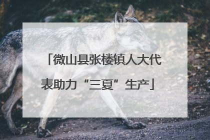微山县张楼镇人大代表助力“三夏”生产