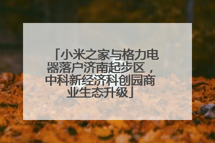 小米之家与格力电器落户济南起步区，中科新经济科创园商业生态升级