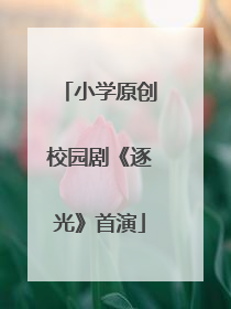 小学原创校园剧《逐光》首演