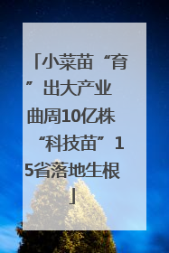 小菜苗“育”出大产业 曲周10亿株“科技苗”15省落地生根