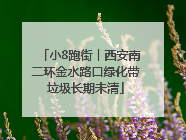 小8跑街丨西安南二环金水路口绿化带垃圾长期未清