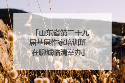 山东省第二十九届基层作家培训班在聊城临清举办