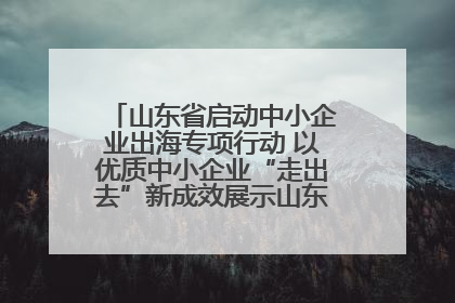 山东省启动中小企业出海专项行动 以优质中小企业“走出去”新成效展示山东产业发展新形象