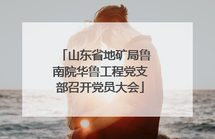 山东省地矿局鲁南院华鲁工程党支部召开党员大会