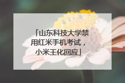 山东科技大学禁用红米手机考试，小米王化回应