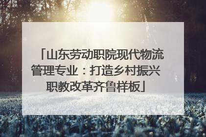山东劳动职院现代物流管理专业：打造乡村振兴职教改革齐鲁样板